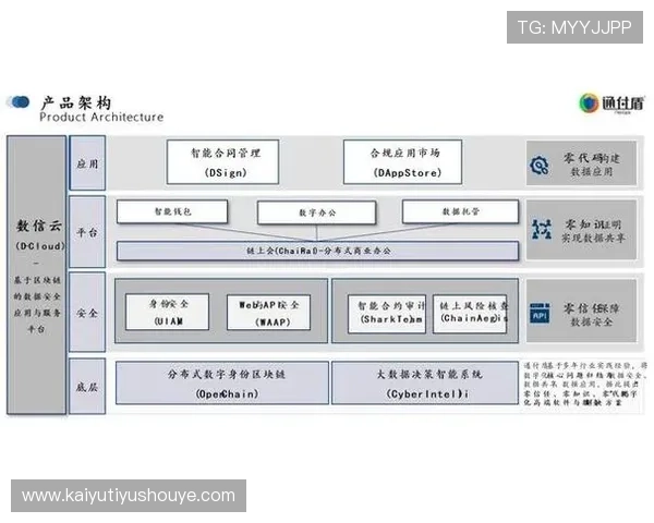 探索开云官方网站入口导航功能，提升你的使用效率